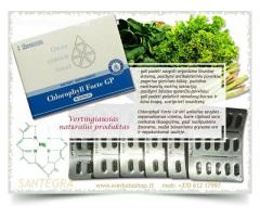 Chlorophyll Forte GP 90 kaps SANTEGRA - organizmo apsaugines jėgai