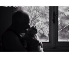 Lankomoji priežiūra į namus vienišiems seneliams